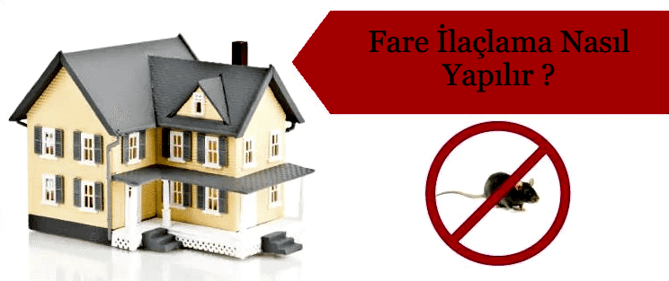 Fare İlaçlama Nasıl Yapılır?