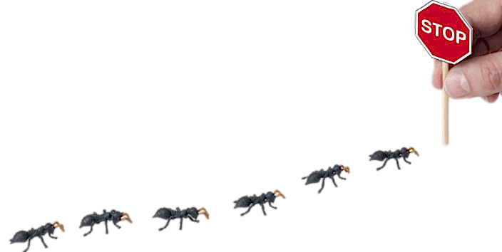 Evde Böcek İlaçlama Nasıl Yapılır?