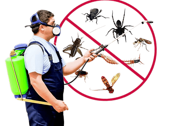 Böcek İlaçlama Nasıl Yapılır?