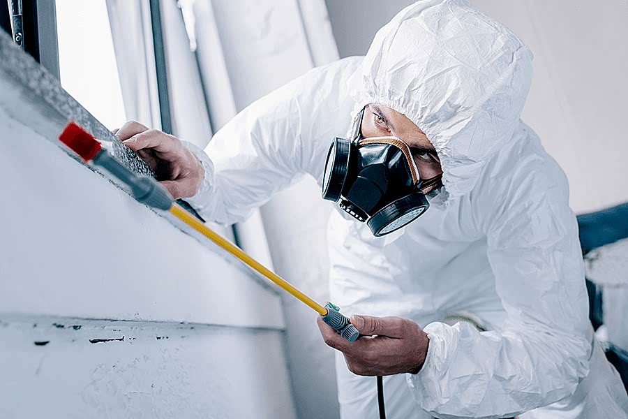 Adana Gümüş Böceği İlaçlama