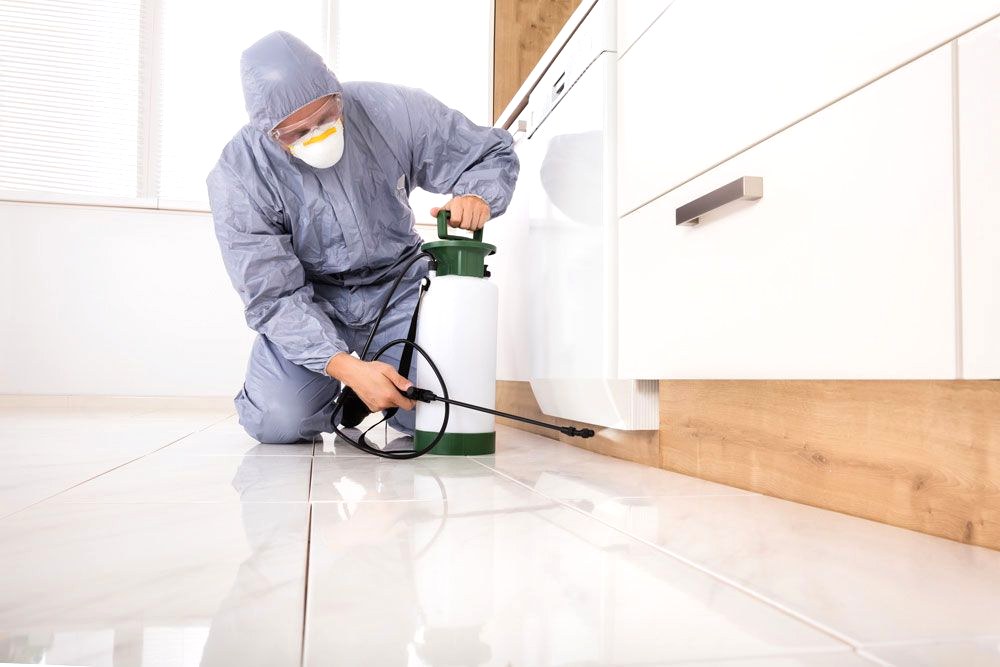 Adana Hamam Böceği İlaçlama