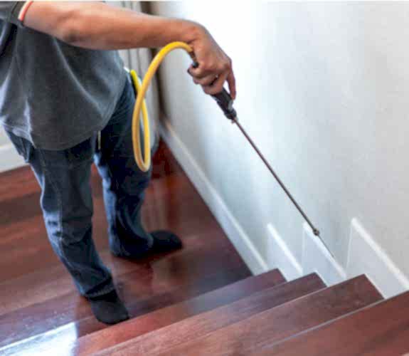 Adana Karınca İlaçlama Hizmeti