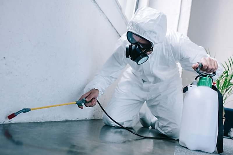 Adana Karınca İlaçlama 