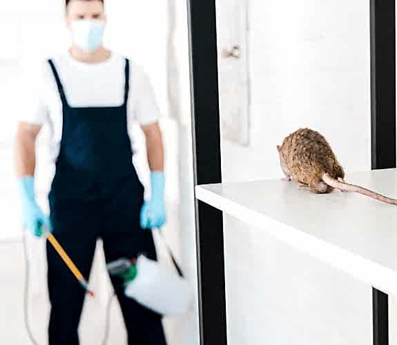 Adana Fare İlaçlama