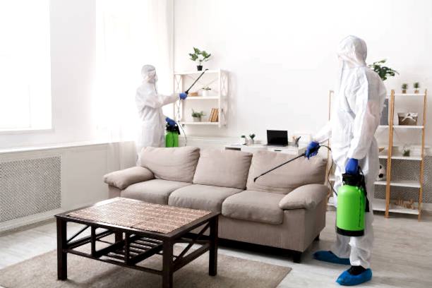 Adana Hamam Böceği İlaçlanması