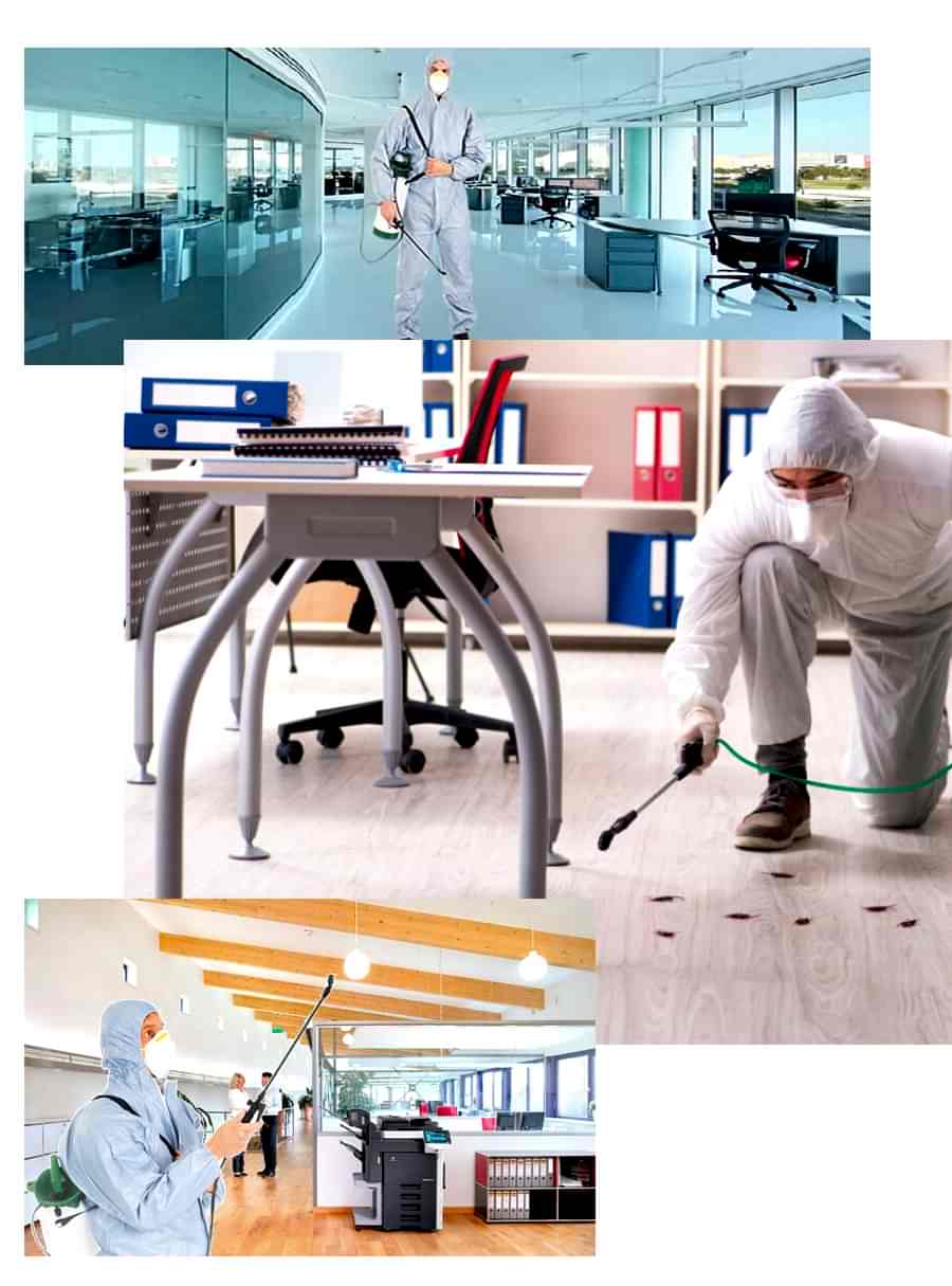 İşyerinde İlaçlama Yapılırken Dikkat Edilmesi Gerekenler