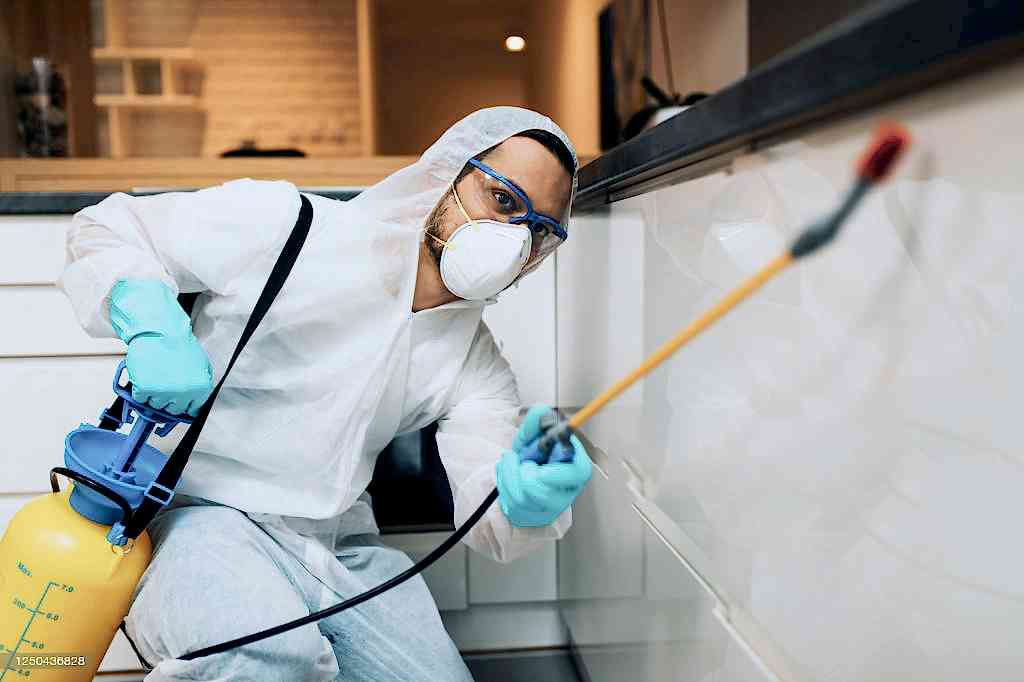 Adana Ev ve Konut İlaçlama