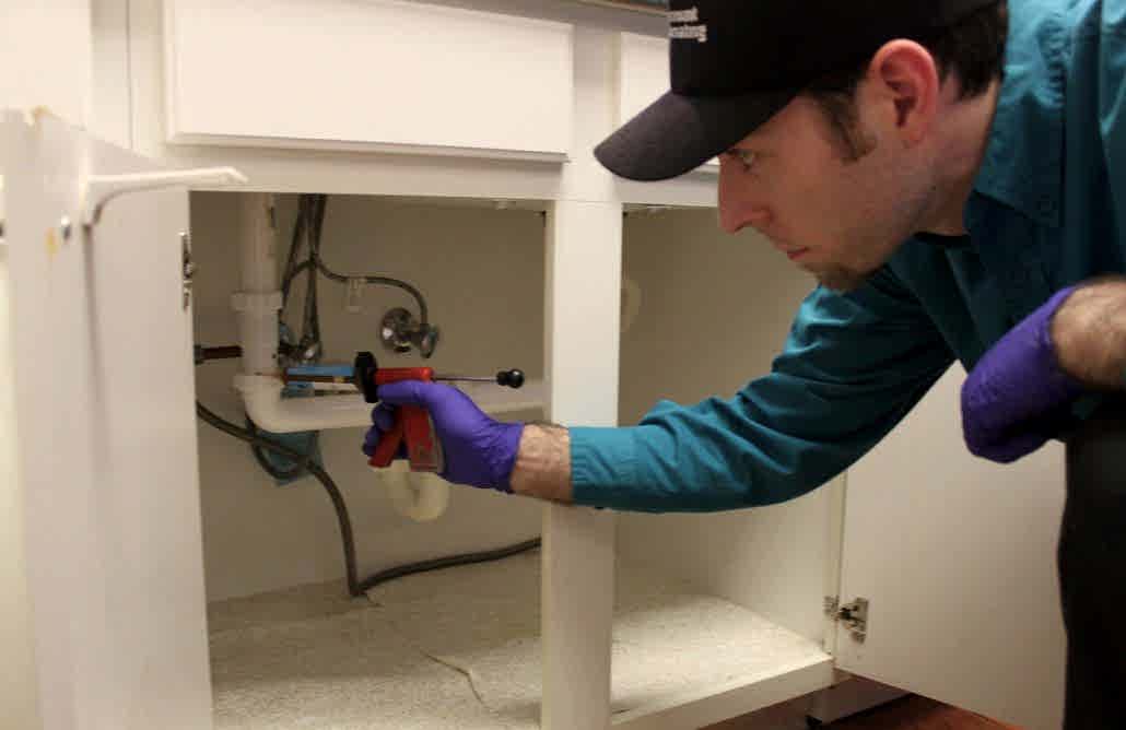 Kalorifer Böceği İlaçlaması Nasıl Yapılır