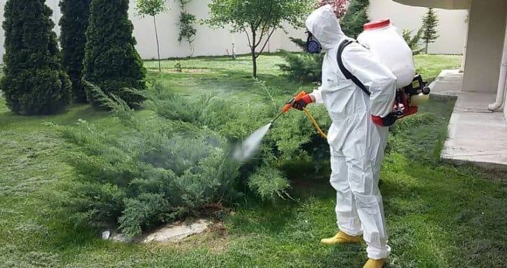 Karasinek İlaçlama