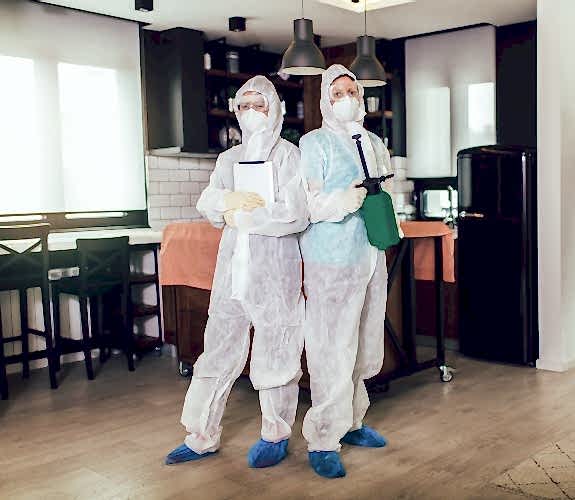 Karınca İlaçlama Hizmeti