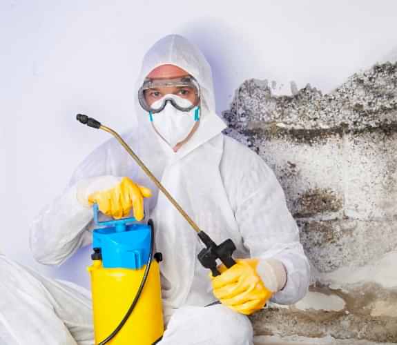 Karınca İlaçlama Nedir