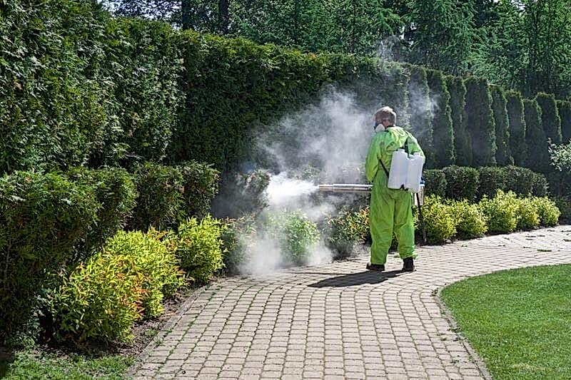 Kene Nasıl İlaçlanır