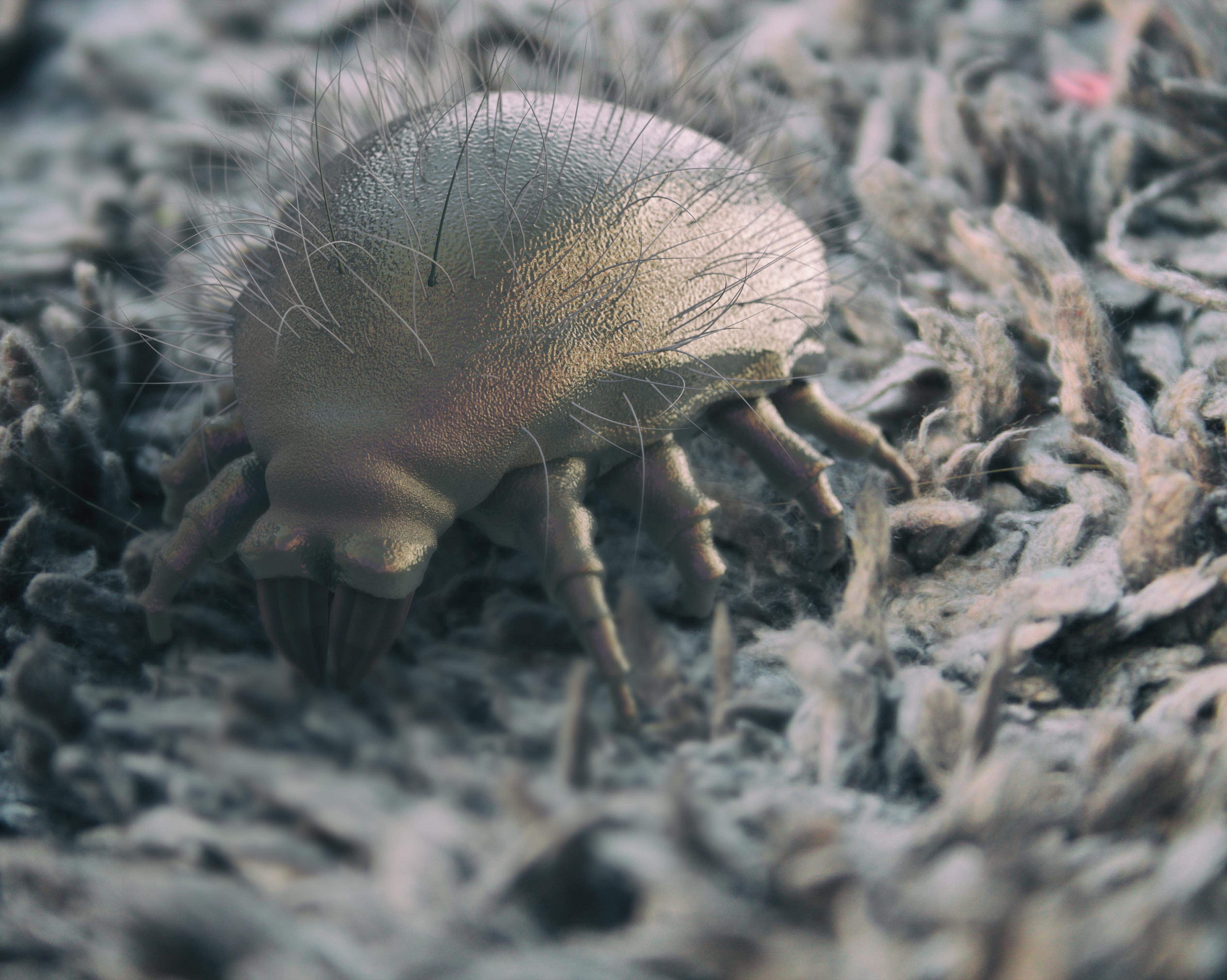 6 Ay Garantili İlaçlama