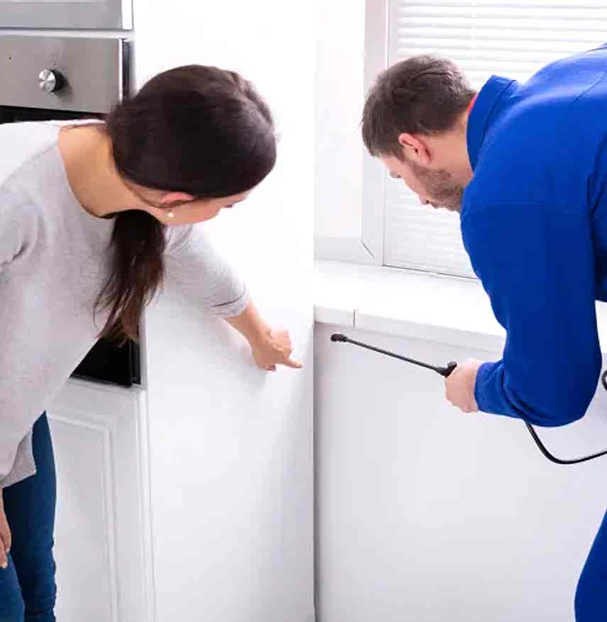 Profesyonel Ev İlaçlama Nasıl Yapılır?