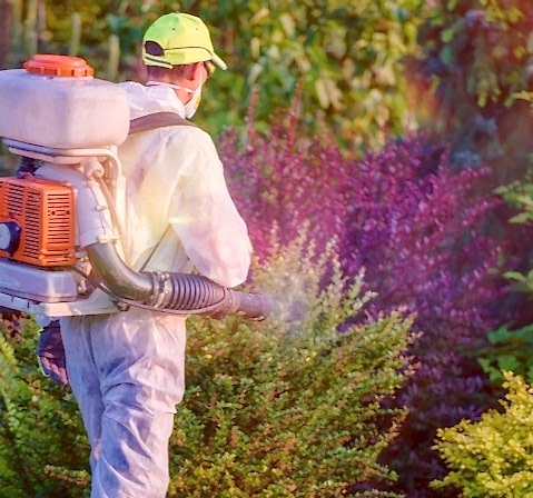 Hamam Böceği İlaçlama Sonrası Yapılması Gerekenler