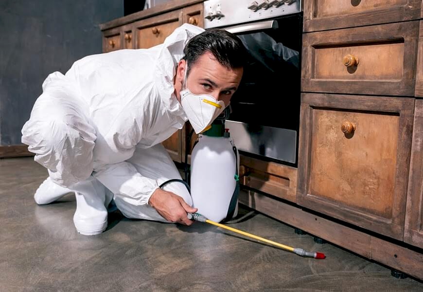 Tahtakurusu İlaçlama Nasıl Yapılır