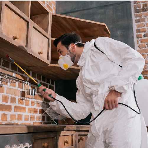 Tahtakurusu Neden Olur?