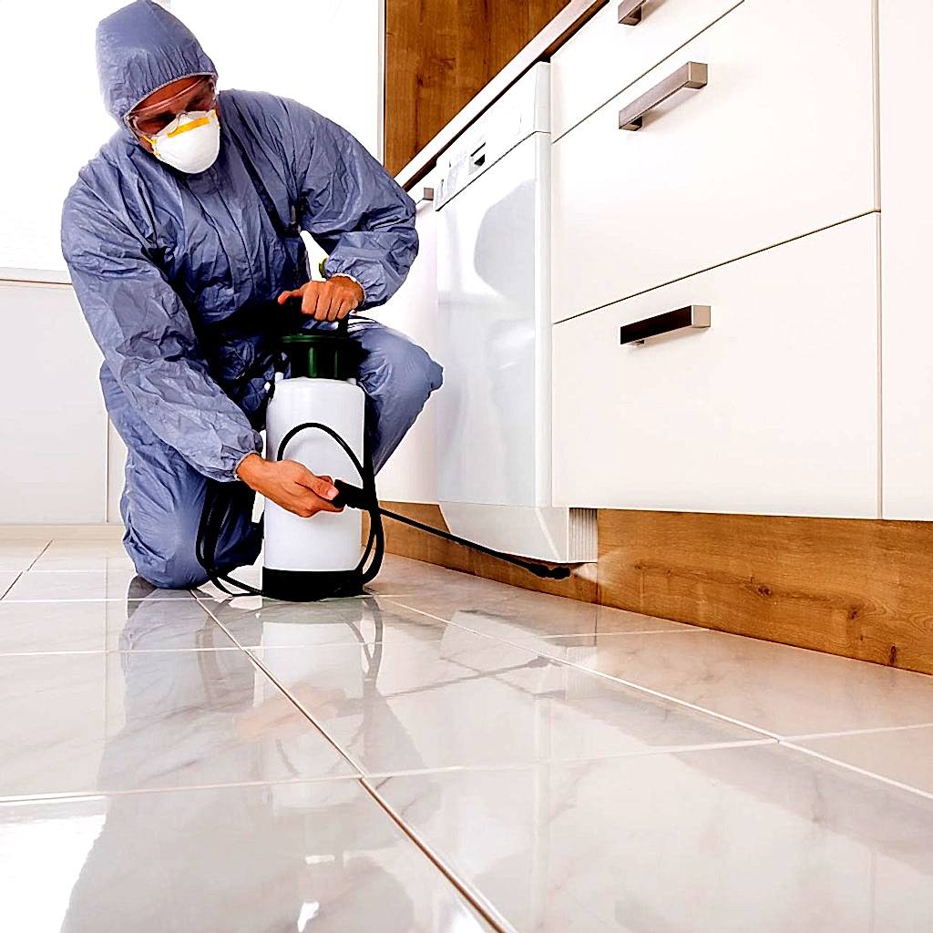 Fidas İlaçlama Uyuz İlaçlama