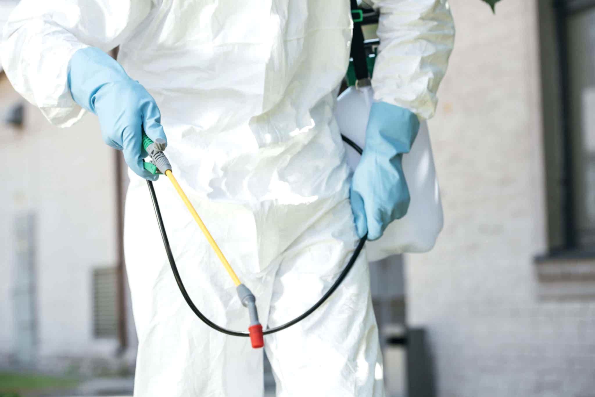 Profesyonel Ev İlaçlama Nasıl Yapılır?